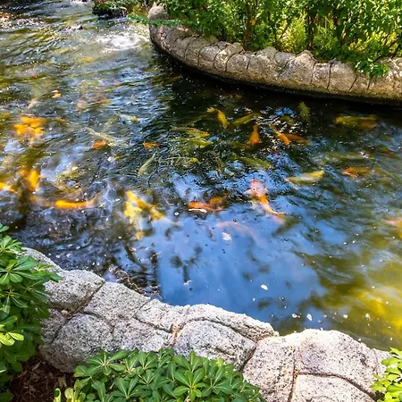 Hotel Mirada Del Mar